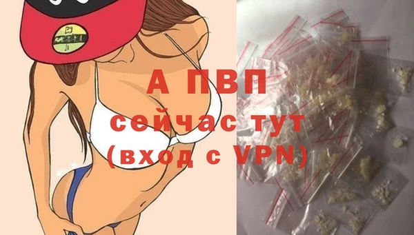 PSILOCYBIN Мегион