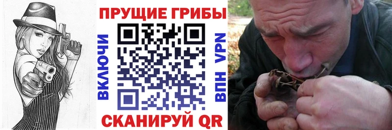 сколько стоит  Ленск  Псилоцибиновые грибы прущие грибы 